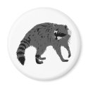 Raccoon magnets