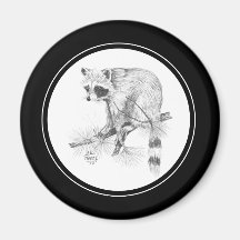 Raccoon Magnet in pencil