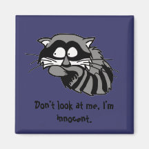 Raccoon Magnets