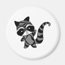 raccoon magnets