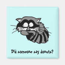 Raccoon Magnets