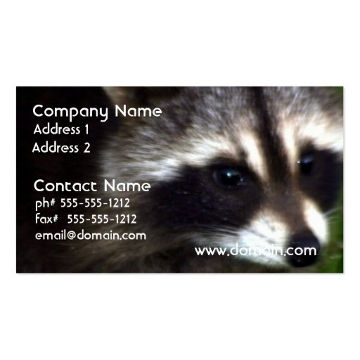Raccoon Mask Business Cards (front side)