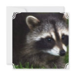Raccoon Mask  Invitations