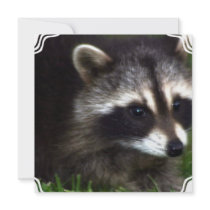 Raccoon Mask  Invitations