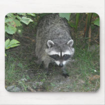 Raccoon Mouse Pad