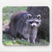 Raccoon Mousepad mousepads