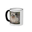 Raccoon mugs
