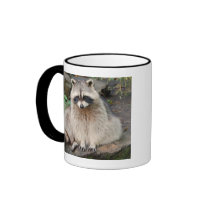 Raccoon Mugs