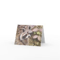 Raccoon Note card
