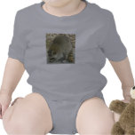 Raccoon on Rock Baby Infant T Shirt