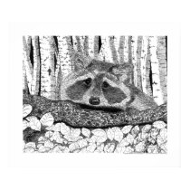 Raccoon Pen and Ink Drawing posters