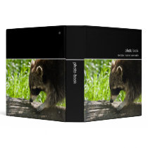 Raccoon · Photo Book