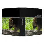Raccoon · Photo Book binders