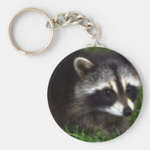 Raccoon Photo Keychain