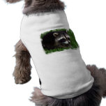 Raccoon Photo Pet Shirt