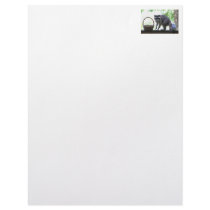 Raccoon Picture Letterhead Template