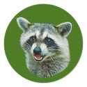 Raccoon Picture Sticker by kphotos Raccoon Picture Sticker