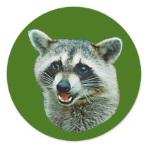Raccoon Picture Sticker by kphotos Raccoon Picture Sticker