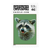 Raccoon Picture US Stamp