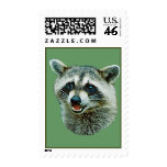 Raccoon Picture US Stamp