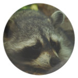 Raccoon Party Plates