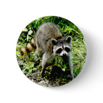 RACCOON PLAY buttons