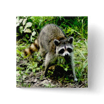 RACCOON PLAY buttons