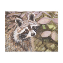 Raccoon Post Card postcards