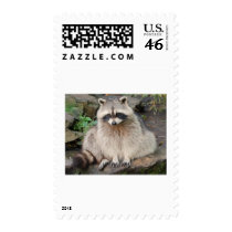 Raccoon postage by Precious_Prints Raccoon postage
