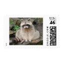 Raccoon postage by Precious_Prints Raccoon postage
