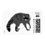 Raccoon postage