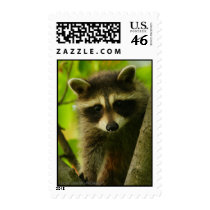 Raccoon postage by WorldDesign Raccoon postage
