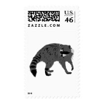 Raccoon Postage Stamp