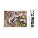 Raccoon Postage Stamp