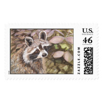 Raccoon Postage Stamp