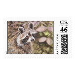 Raccoon Postage Stamp