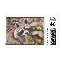 Raccoon Postage Stamp