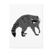 Raccoon postcards
