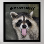 Raccoon Poster - #1038