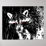 Raccoon Posters