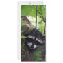 Raccoon Rack Card Design