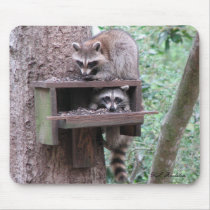 Raccoon Rascals Mousepad