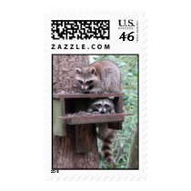 Raccoon Rascals Postage postage