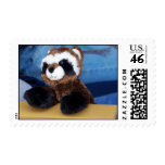 raccoon stamp