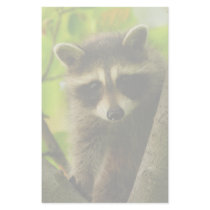 raccoon custom stationery