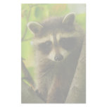 raccoon custom stationery