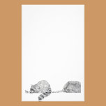 Raccoon Stationery stationery