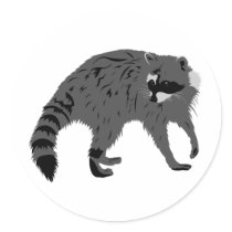 Raccoon stickers