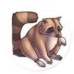 Raccoon Sticker