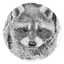 Raccoon stickers